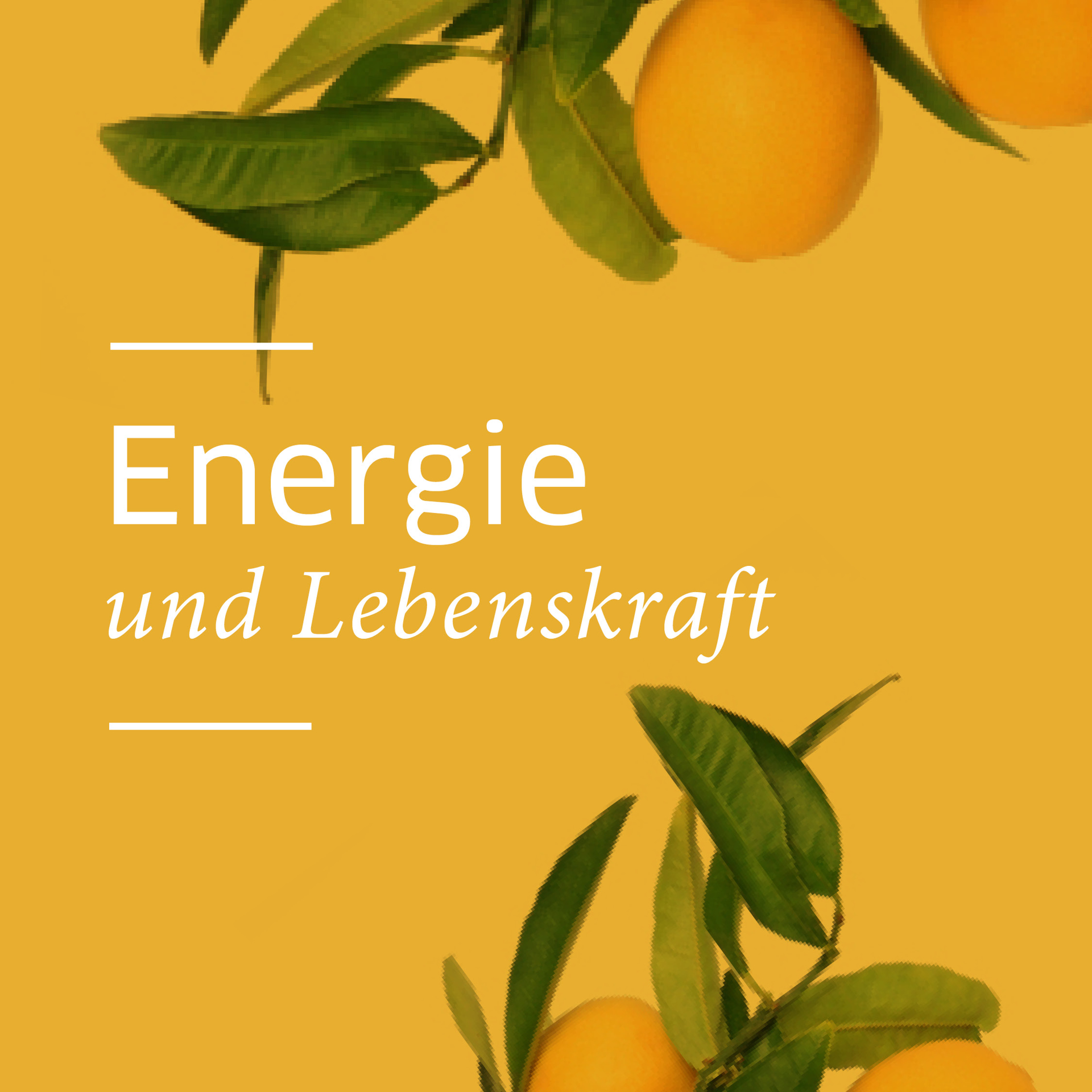 Energie